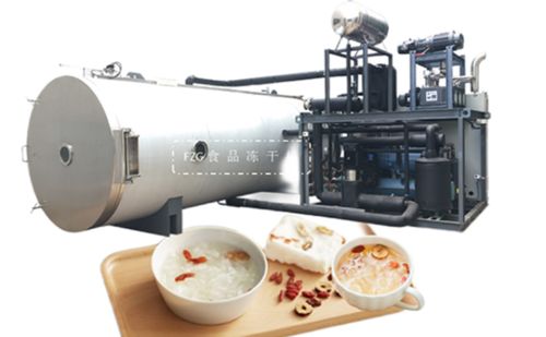 fzg食品凍干機解決凍干食品復(fù)水性問題